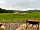 Foot of the Downs: Sheep in the field outside (they don’t wake you, inside the pod is very quiet) (photo added by  on 01/09/2021)