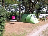 Spacious pitches under the trees Spacious pitches under the trees