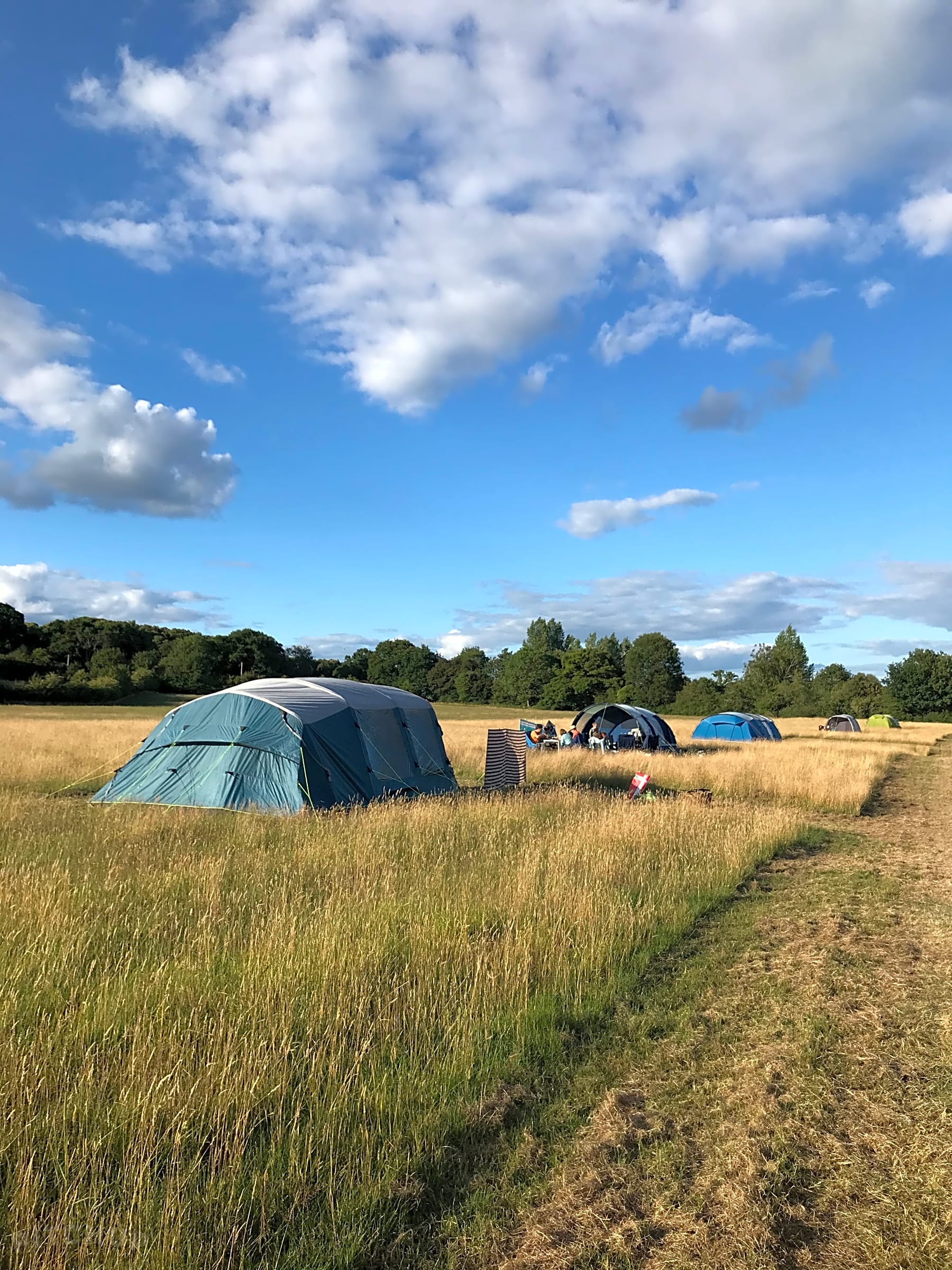 Clarefield Copse Wild Camping, Petersfield - Updated 2020 ...