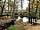 Setthorns Campsite: New Forest