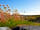 Nagle's Doolin Camping and Caravan Park: Flora of the Burren