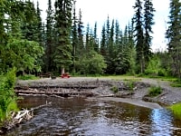 Creek and forest view Creek and forest view