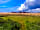 Strumble Camping: Newly-cut pitch (photo added by manager on 19/08/2021)