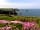 Portreath Lighthouse Hill Camping: Coastal path