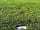 Bracelands Campsite: Grass pitch with electric hook-up