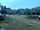 Five Wyches Farm Camping: Non-electric pitch (photo added by manager on 06/08/2023)