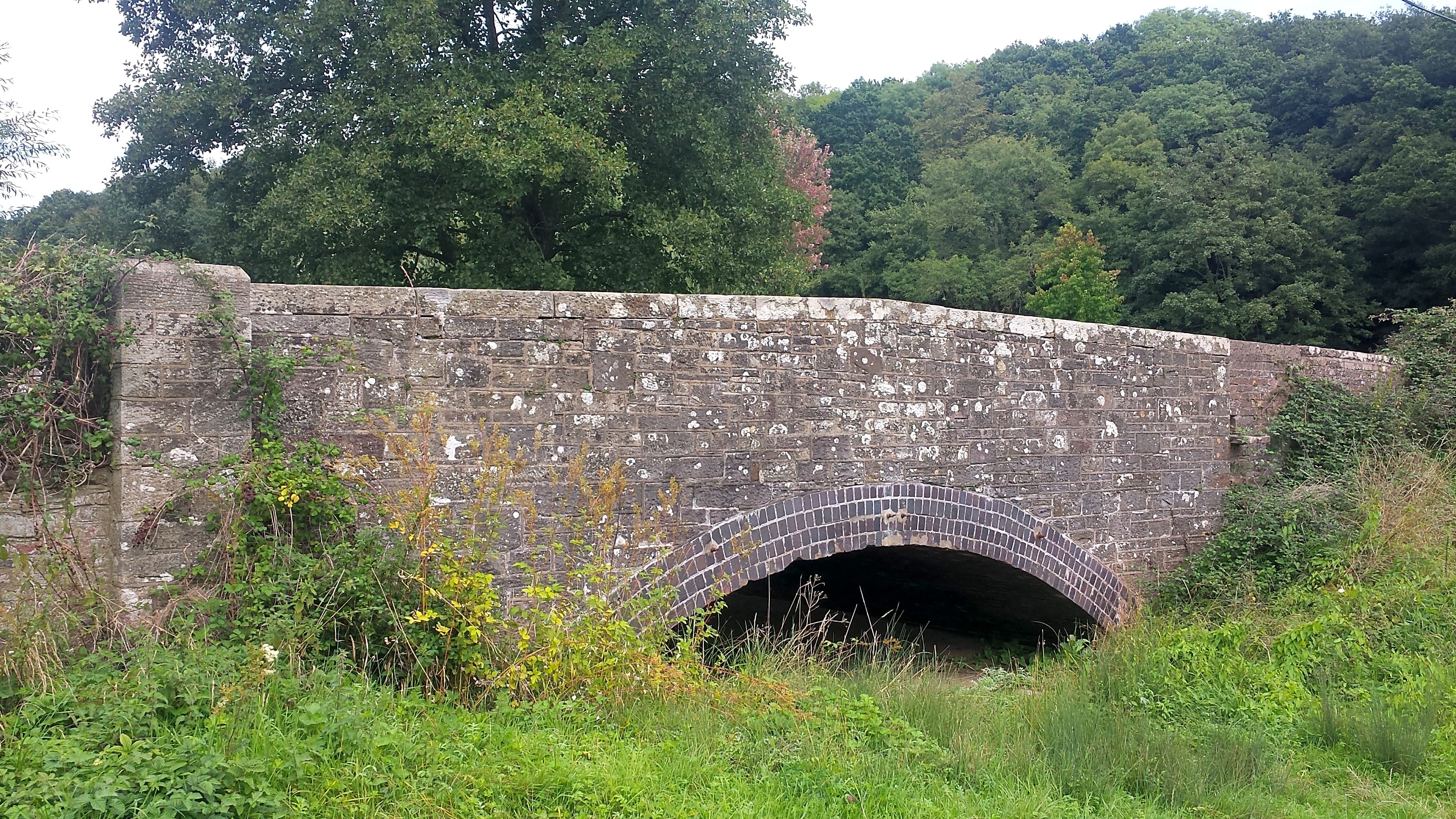 Bridge Caravan Park And Camping Site Monmouth Pitchup Bridge Caravan Park And Camping Site Monmouth Pitchup