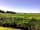 Parkland Caravan and Camping Site: The estuary view from Estuary View (photo added by manager on 29/07/2020)