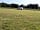 Wellowwood Camping: Campervan pitch (photo added by manager on 29/05/2023)