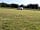 Wellowwood Camping: Campervan pitch (photo added by manager on 29/05/2023)