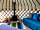 The Teasel Yurts: Sofa area (photo added by manager on 11/01/2021)