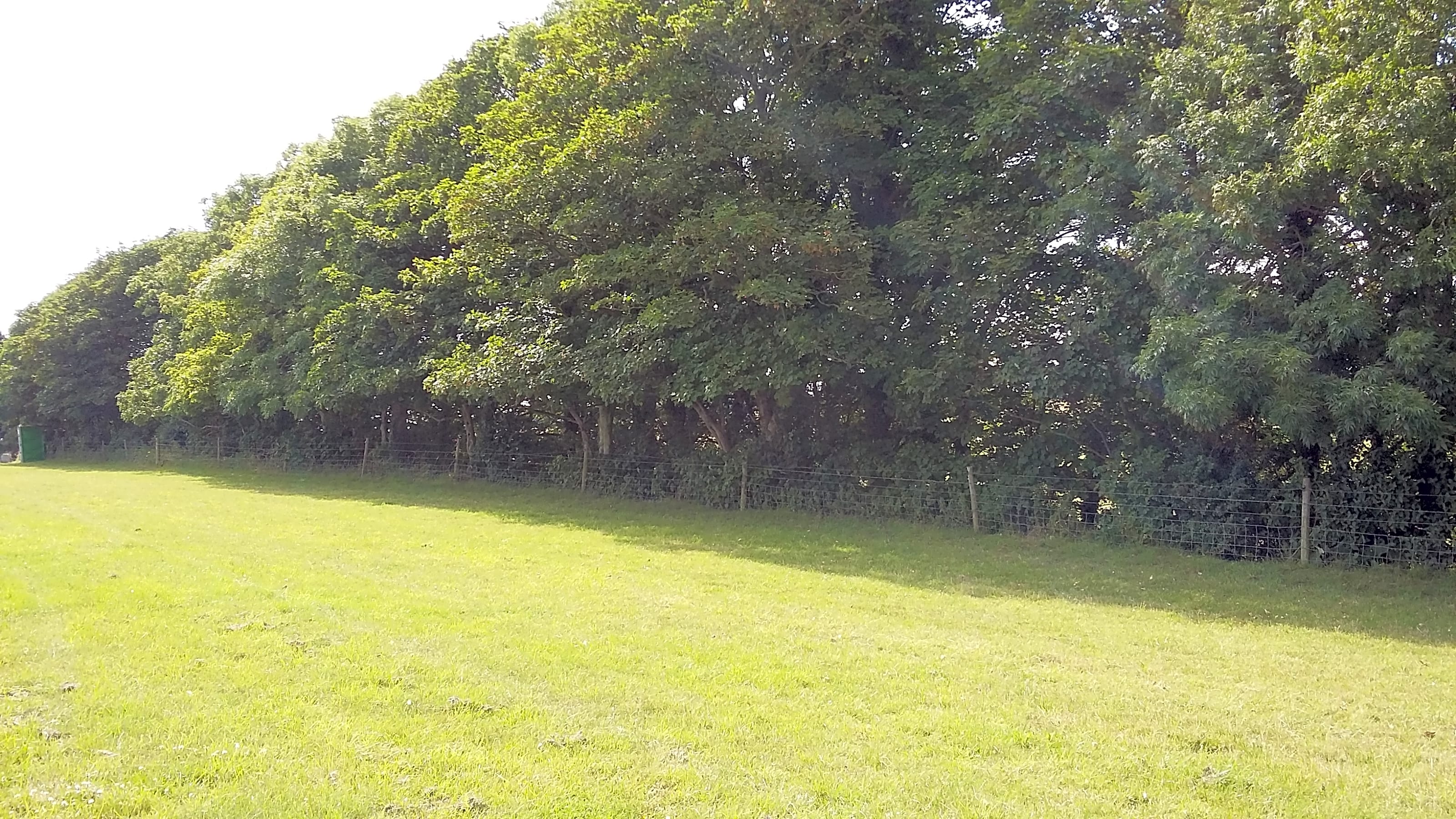 Stud Farm, Lewes Updated 2020 prices Pitchup®