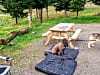 Kessock Caravan Park: Seat at each pitch (photo added on 03/29/2025)