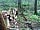 Huckleberry Farm: Logs – a hiding place for mini beasts (photo added by manager on 27/05/2022)