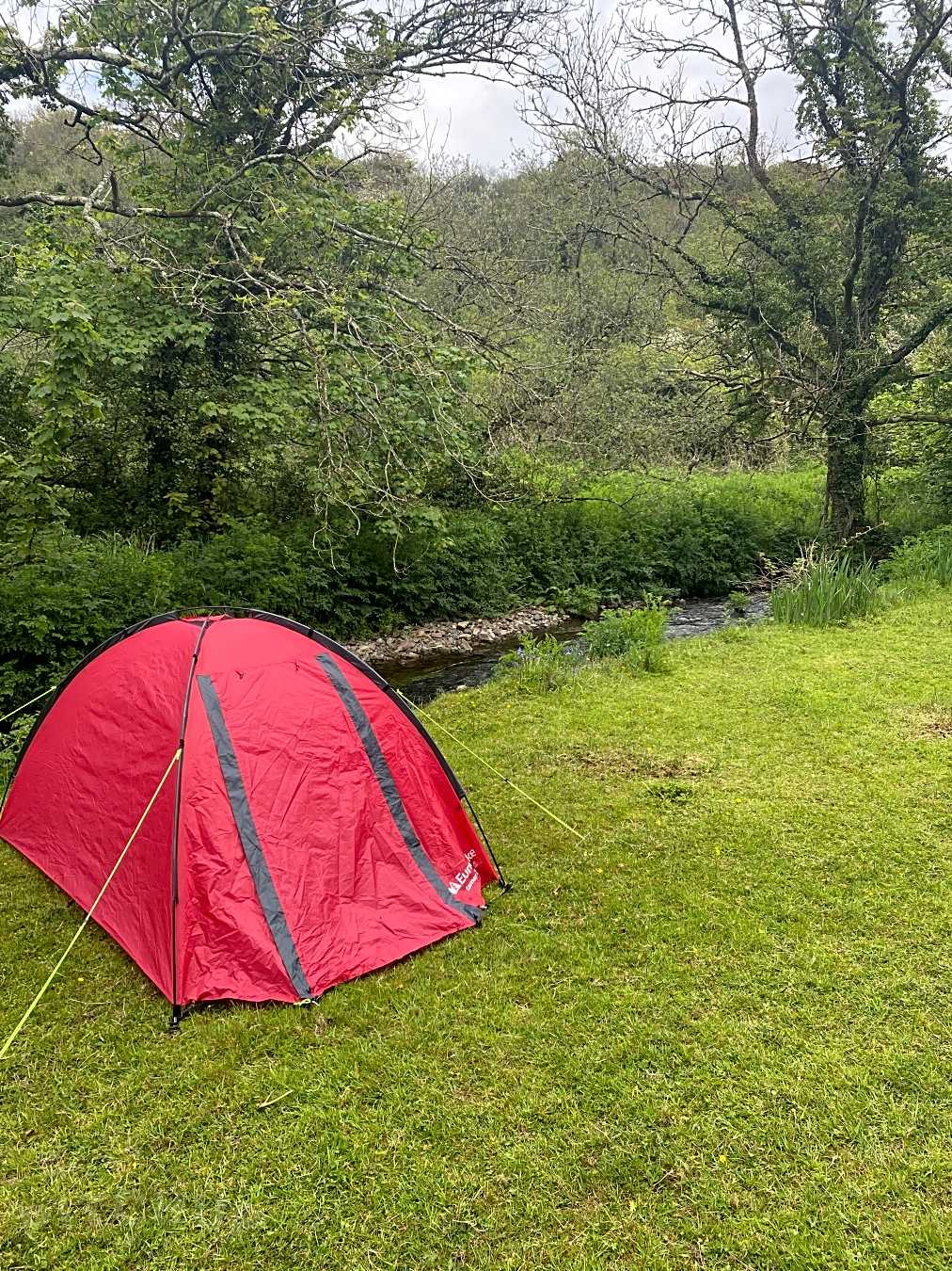 Popup campsite Bästa campingplatserna i St Davids, Pembrokeshire, Wales 2021 Boka 35