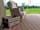 Luxury Camping at Woodhouse Farm: Armchair on decking (photo added by manager on 11/03/2022)