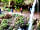 Pillars of Hercules Organic Farm: Waterfall at Maspie Den (photo added by manager on 22/01/2023)