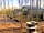 Riddings Wood Holiday Park