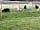 Grange Farm Caravan Park