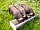 Acorns Naturist Retreat