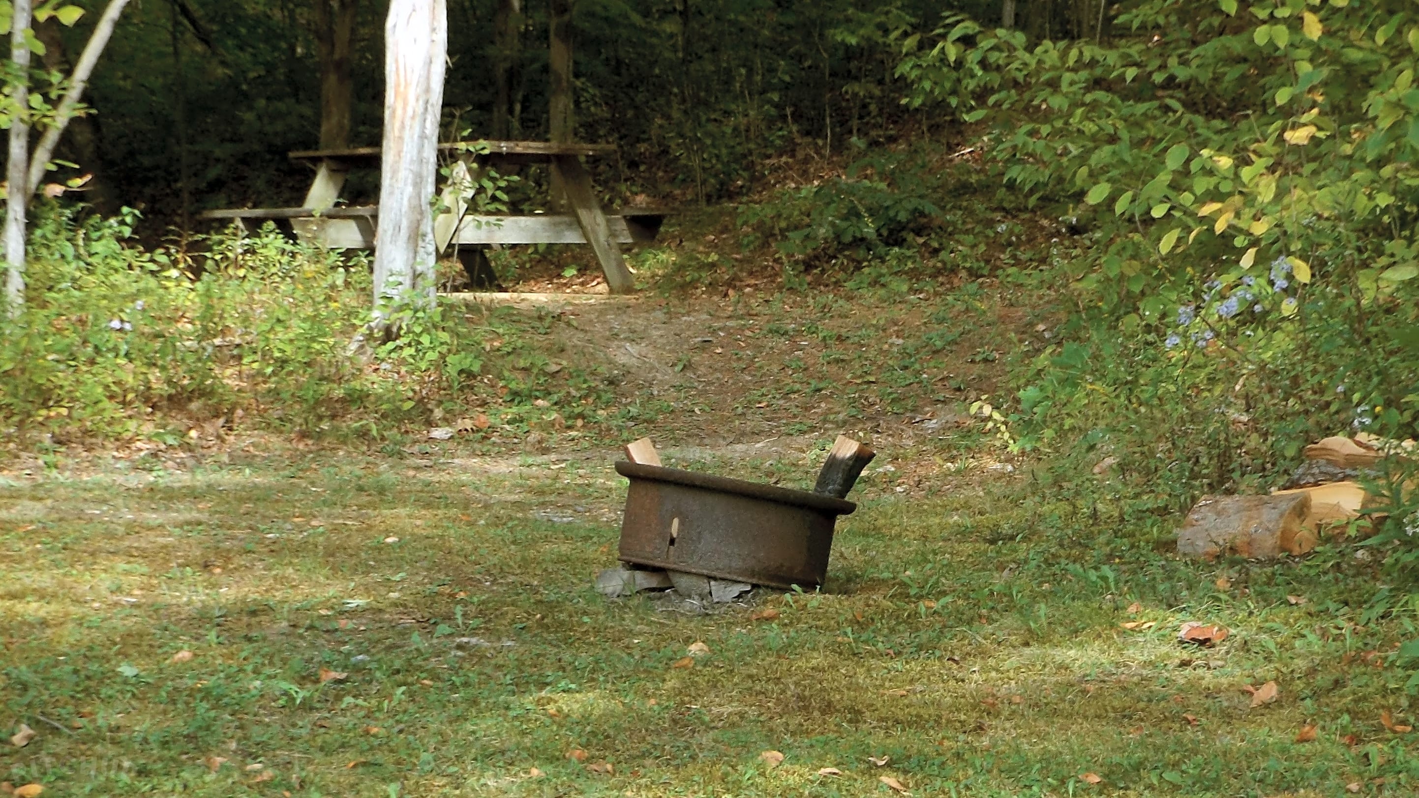 Juniper Woods, Catskill Pitchup®