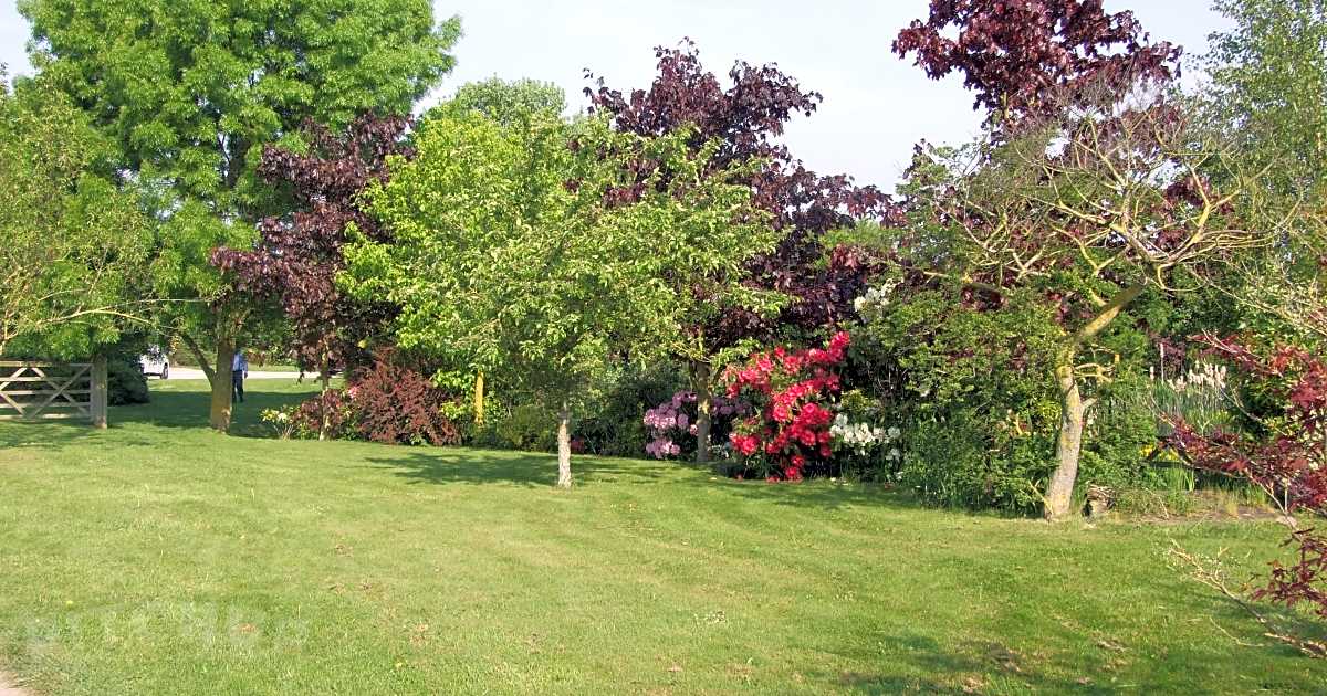 Willow Caravan Park, York Aktualizované ceny pro rok 2023 Pitchup®