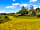 Arden Lakes Camping: Camping pitch (photo added by manager on 11/06/2023)