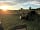 Walnut Tree Farm: Sunset