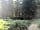 Holmans Woods