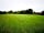 The Daisy Paddock: Spacious grass pitches
