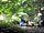 Hole Station Campsite: Woodland pitch