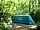 Alpine Grove Touring Park: Woodland glade