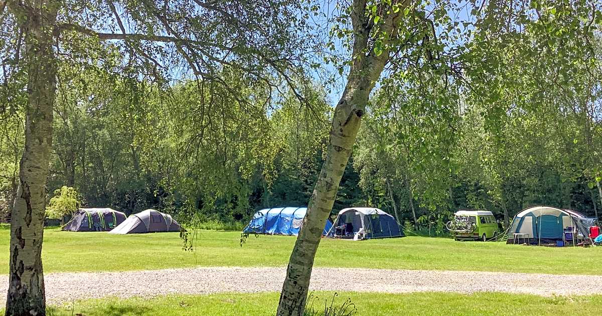 Woodlands Campsite, Wareham Updated 2024 prices