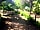 Camping Santa Elena Ciutat: Tent pitch (photo added by manager on 17/01/2023)