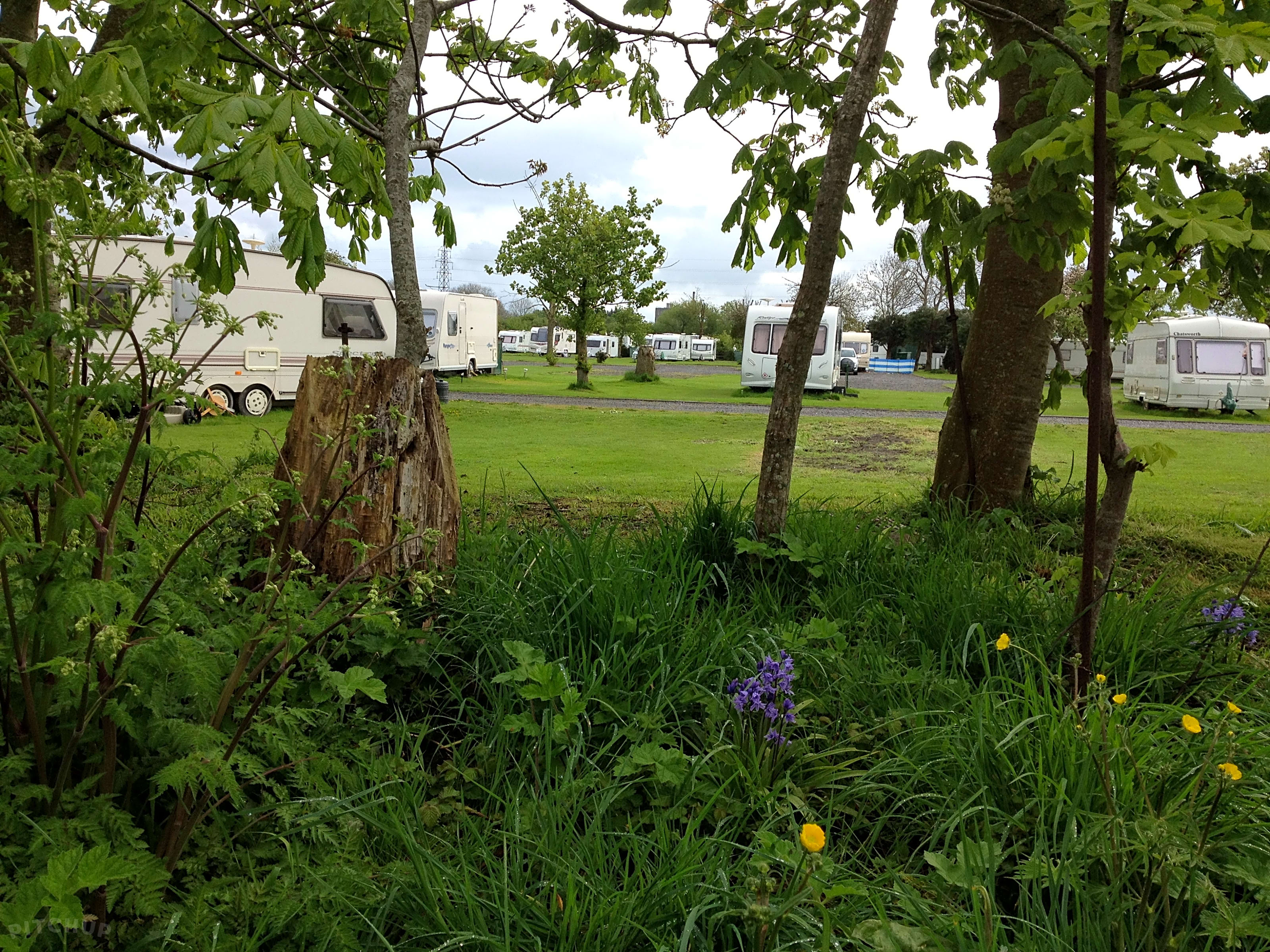 Phippins Farm Caravan Park, Highbridge Pitchup®