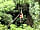 Picocanoa Rodavento: Ziplining