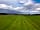 Treetops Farm Holidays: Well-kept grounds