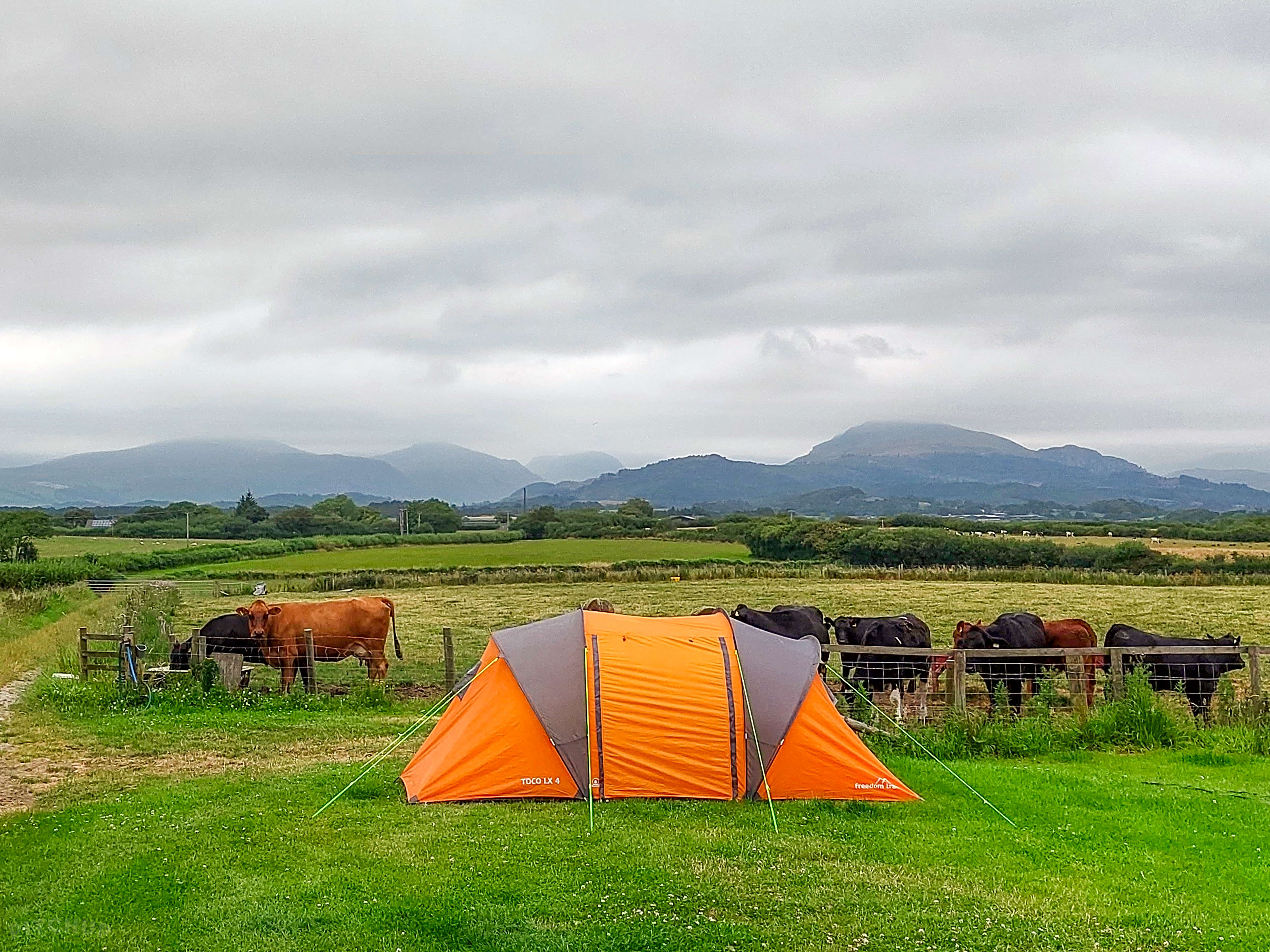 Freedom trail toco lx new arrivals 4 tent