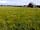 Swithens Farm