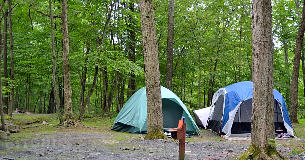 Cranberry Run Campground, East Stroudsburg Updated 2021 prices Pitchup®