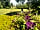 Lagganbeg Caravan Park: The pitches (photo added by manager on 22/06/2022)