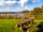 Siblyback Lake Campsite: Perfect picnic spot