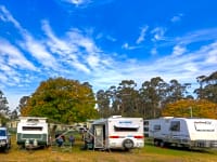 Level, shaded grass pitches Level, shaded grass pitches