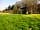 The Real Campsite at Park Farm: Large, private pitches, bordered by trees on three sides (photo added by manager on 03/05/2022)