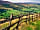 Newfold Farm: Wake up to views like these