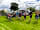 Hales Hill Park: Great for groups