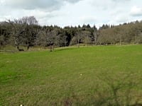 Spacious grass pitches Spacious grass pitches