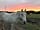 Rookery Retreat: Sunset with the horses
