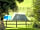 Swiss Farm Touring and Camping: Tenting area