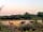 Scotlands House Campsite: The neighbours (photo added by manager on 18/08/2022)